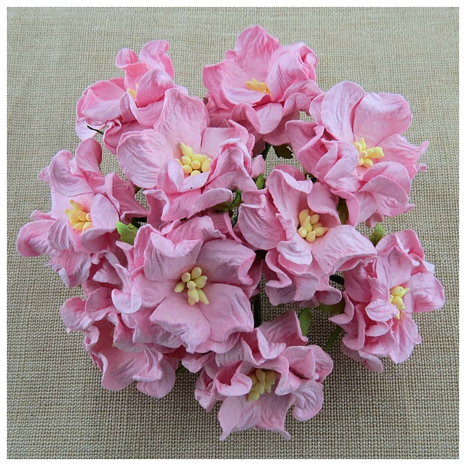Gardeenia roosa 35 mm (5 tk)