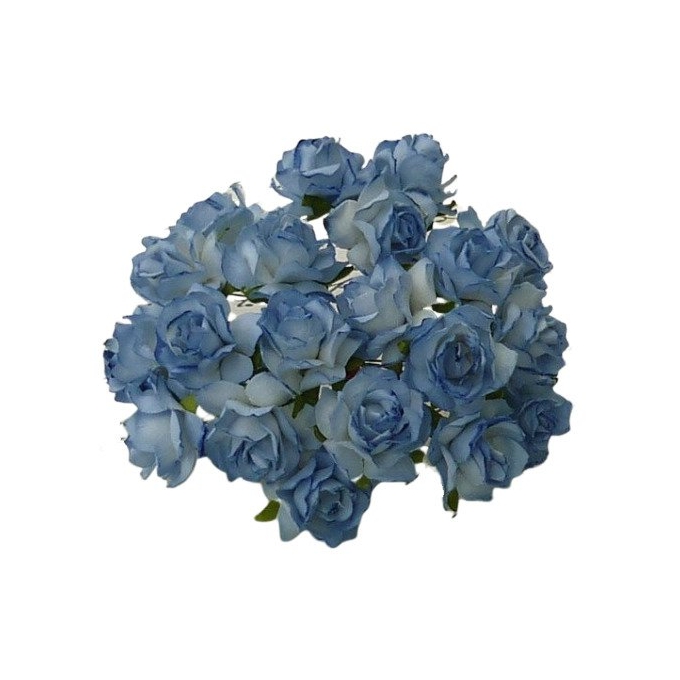 Metsik roos 30 mm, 2-tooni sinine, 25 tk