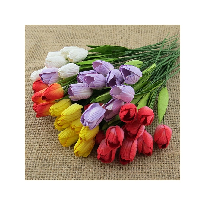 Suur tulp 5 tk pundis