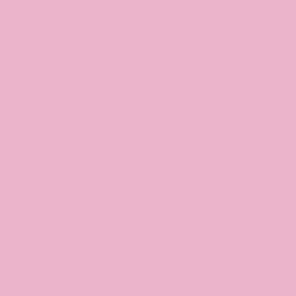 Cricut vinüülkleebis "Light Pink" 30,5 x 30,5, püsiv