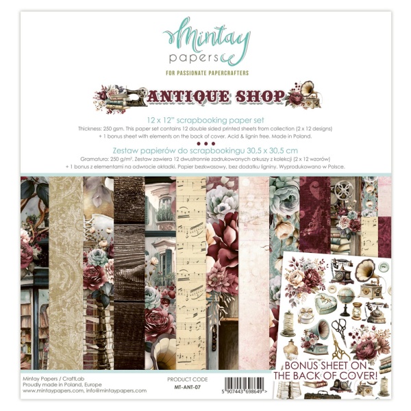 Antique Shop 07