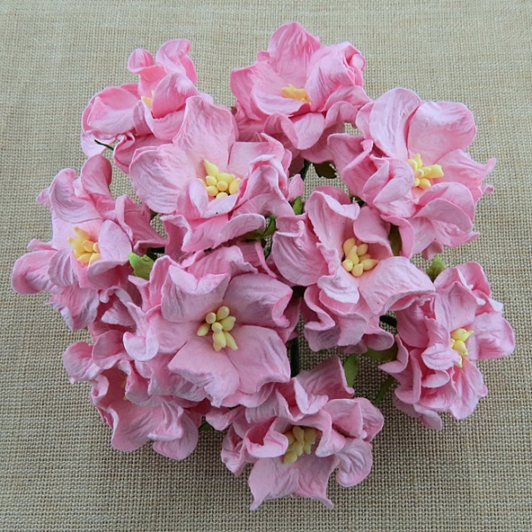 Gardeenia roosa 35 mm (5 tk)