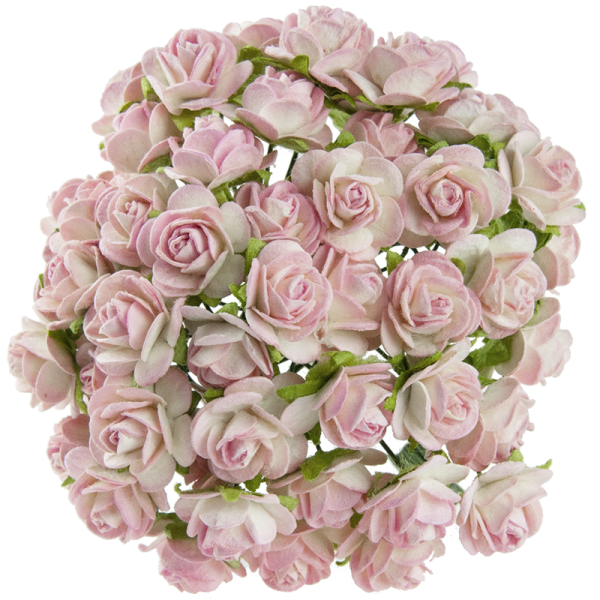 Avatud õiega roos 20 mm (10 tk), elevandiluu/roosa