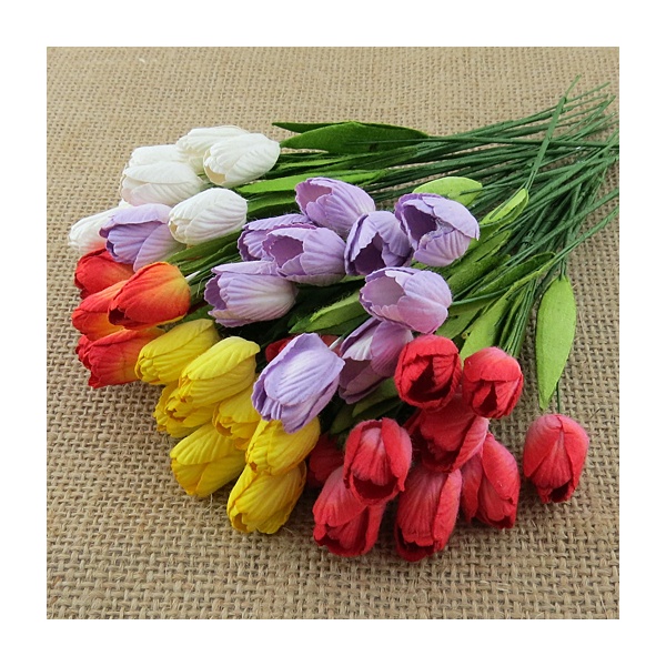 Suur tulp 5 tk pundis