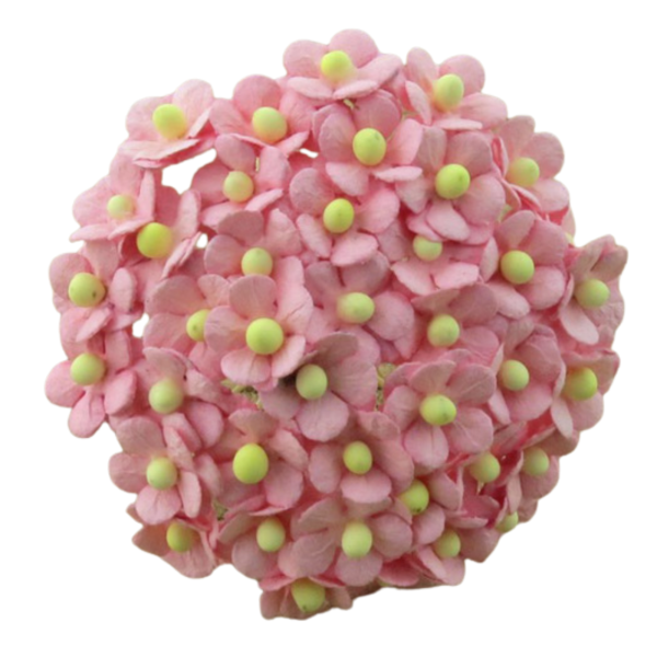 Meelespea 10 tk, mini beebiroosa