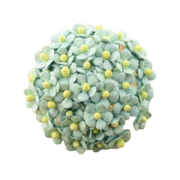 Meelespea 10 tk, mini pastellroheline