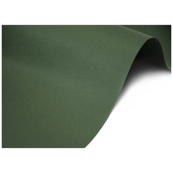 Keaykolour Sequoia Dusty Dark Green 300 g/m² 