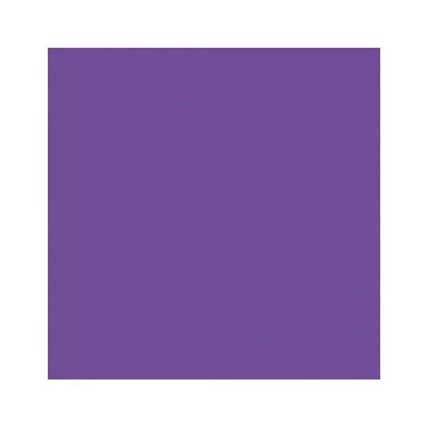 Cricut Infusible Ink Transfer Sheets Ultraviolet