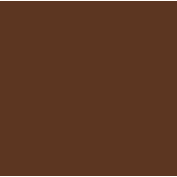 Infusible Ink™ Transfer Sheets - Suntan