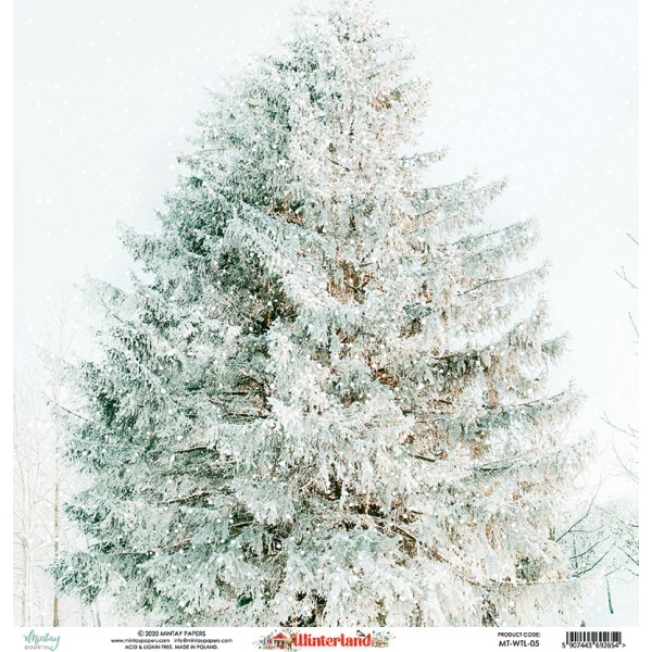 Winterland 05