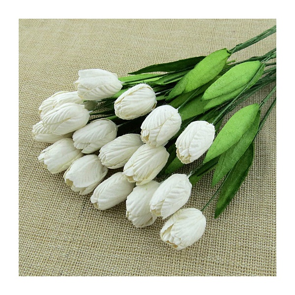 Suur tulp 5 tk pundis