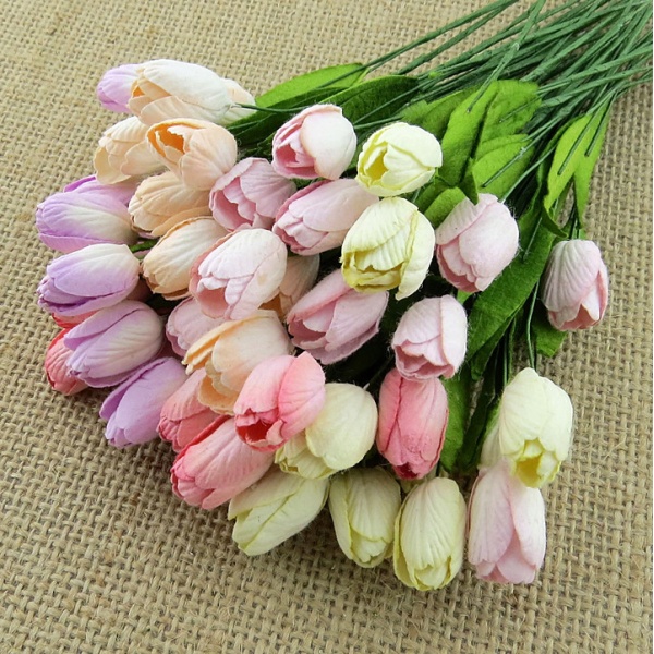 Suur tulp 5 tk pundis