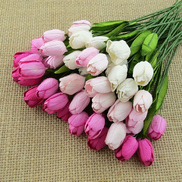 Suur tulp 5 tk pundis