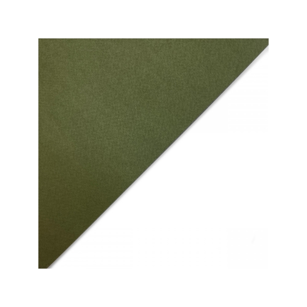 Tintoretto Wasabi green, A4, 250 g/m²